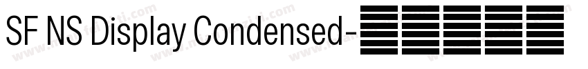 SF NS Display Condensed字体转换